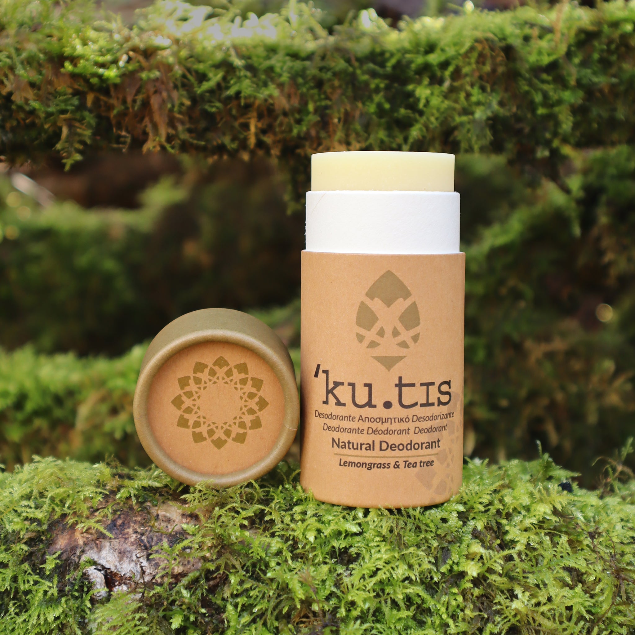 solid natural deodorant stick in a cardboard tube